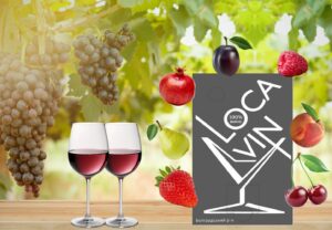 Вино Лока Вин в пакете