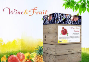 Вино ароматизоване Вайн енд Фрукт
